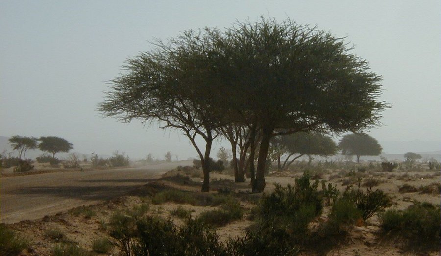 f_200104130006