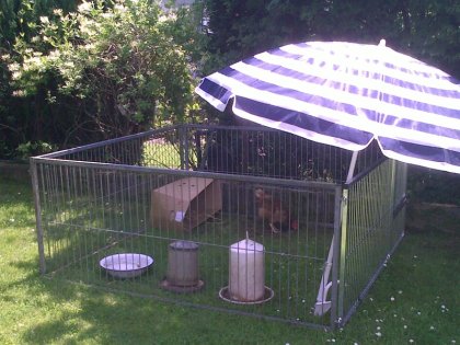 25062010027 Kopie