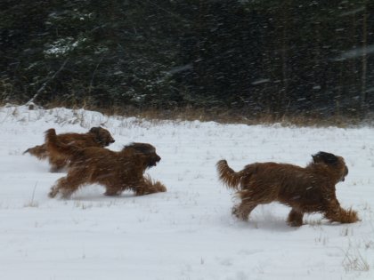 20130220144538 Kopie