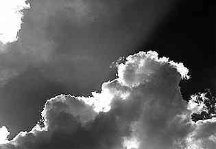 Photo 00800
