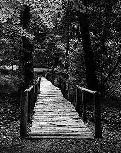 Photo 02133