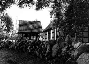 Photo 02229