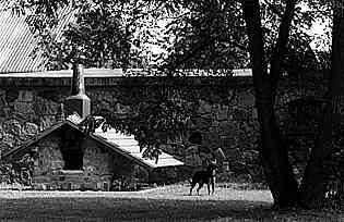 Photo 02312