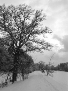 Photo 02822