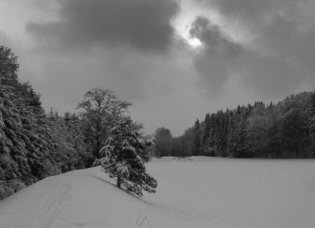 Photo 02826