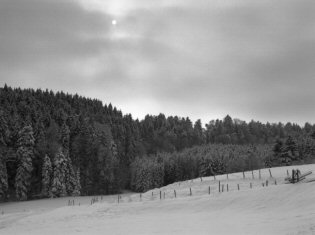 Photo 03005